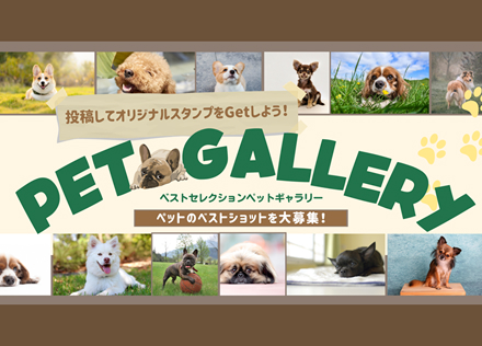 ペットギャラリー